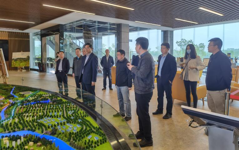 广西旅发集团党委书记、董事长容贤标考察集团文旅项目
